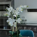 Πανσιόν Il Narciso