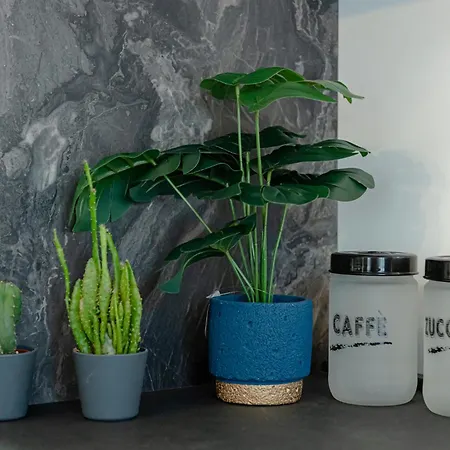 Gasthuis Il Narciso Rome