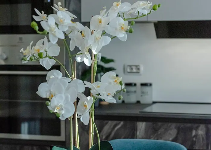 Guest house Il Narciso