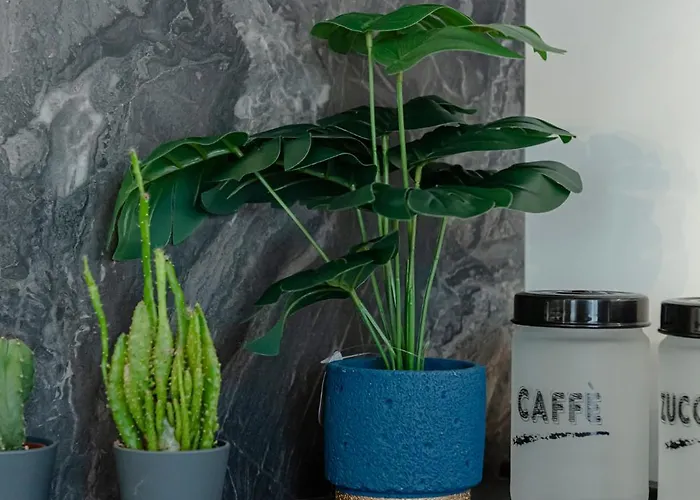 Guest house Il Narciso Rome